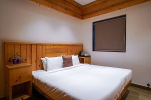 Executive room (2)
