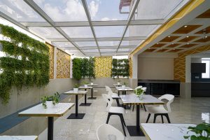 Terrace (2)