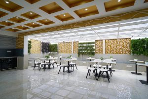 Terrace (5)