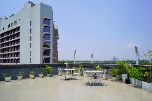 Terrace (1)