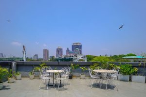Terrace (2)