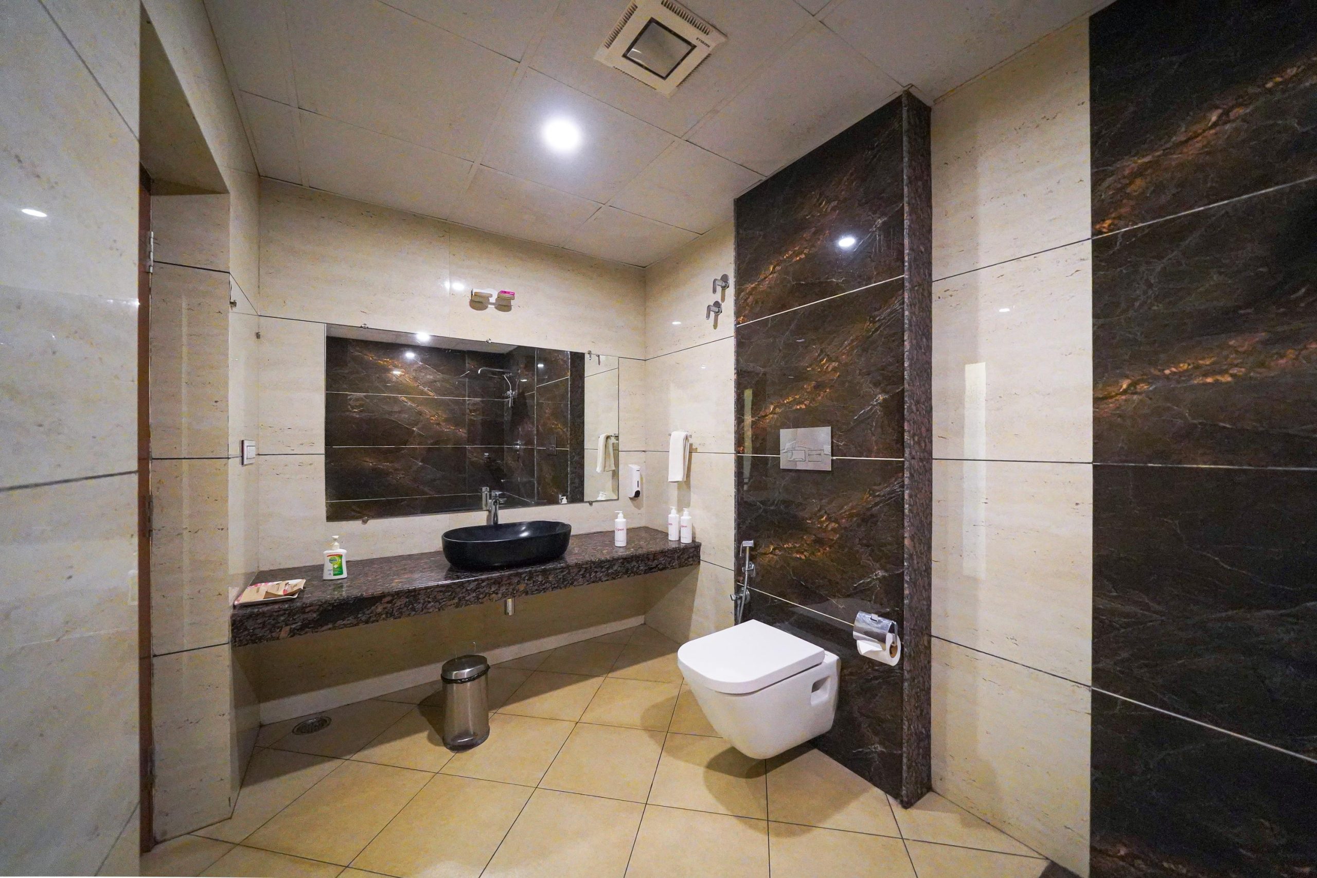Deluxe room Restroom (1)