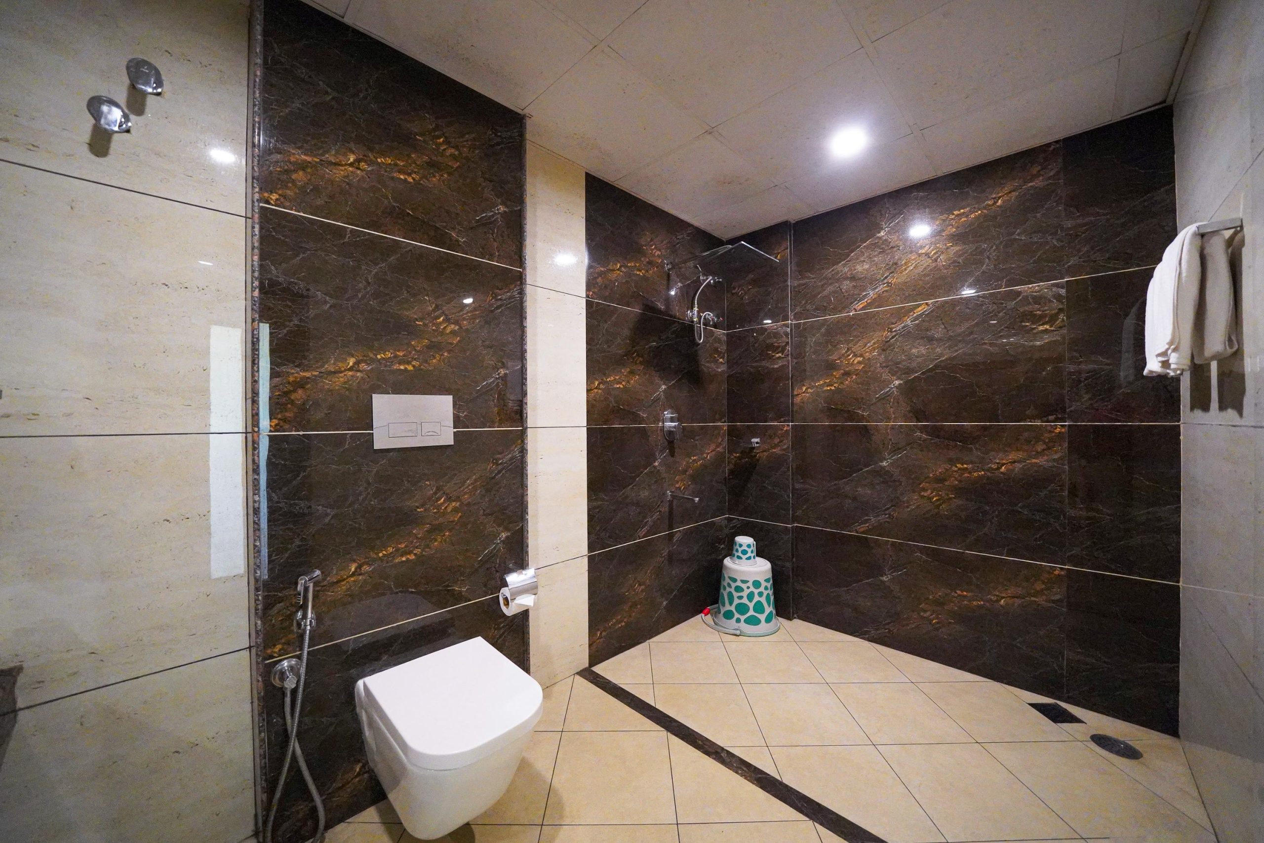 Deluxe room Restroom (2)