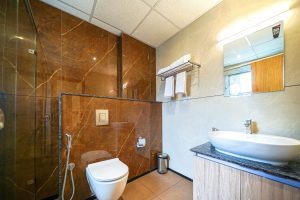 Standard room restroom (1)