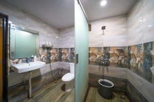 Deluxe King room Restroom (3)