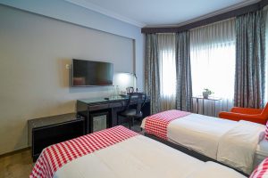 Standard twin room (2)