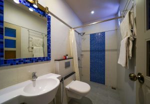 Deluxe room Restroom (6)